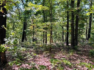 Land For Sale In North Central Arkansas - image 18