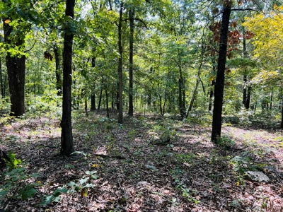 Land For Sale In North Central Arkansas - image 19