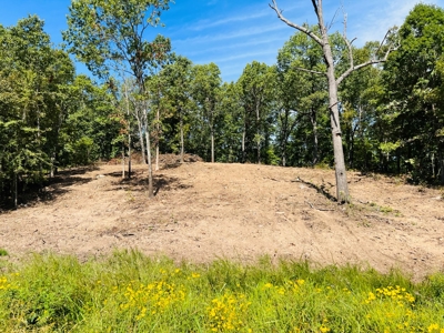 Land For Sale In North Central Arkansas - image 25