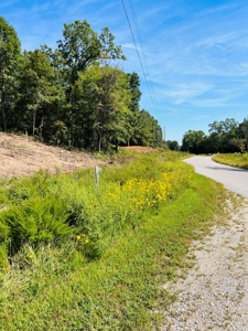 Land For Sale In North Central Arkansas - image 1