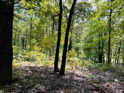 Land For Sale In North Central Arkansas - image 20
