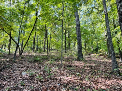 Land For Sale In North Central Arkansas - image 14