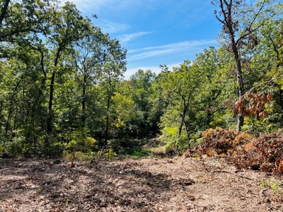 Land For Sale In North Central Arkansas - image 9