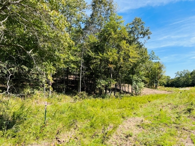 Land For Sale In North Central Arkansas - image 23