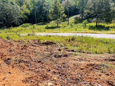 Land For Sale In North Central Arkansas - image 27