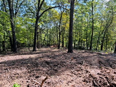 Land For Sale In North Central Arkansas - image 5