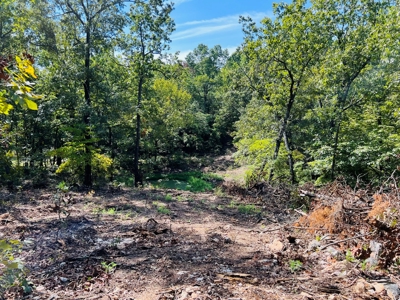 Land For Sale In North Central Arkansas - image 12