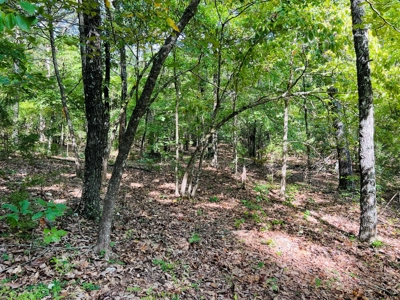Land For Sale In North Central Arkansas - image 13