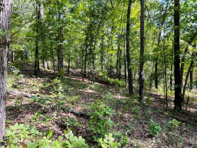 Land For Sale In North Central Arkansas - image 21