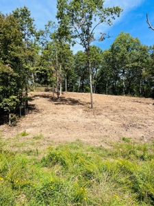 Land For Sale In North Central Arkansas - image 2