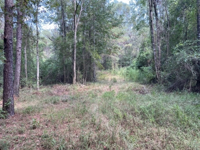 Home and Pasture Property For Sale Close to the State Line! - image 5