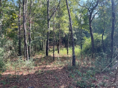 Home and Pasture Property For Sale Close to the State Line! - image 6