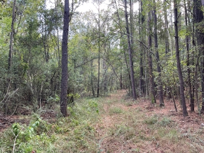 Home and Pasture Property For Sale Close to the State Line! - image 7