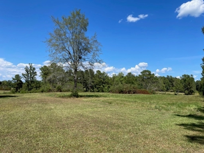 Home and Pasture Property For Sale Close to the State Line! - image 3
