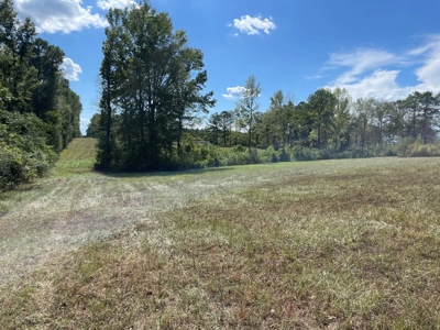 Home and Pasture Property For Sale Close to the State Line! - image 10