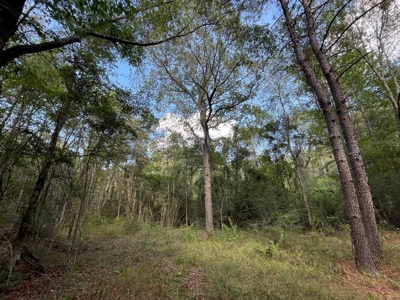 Home and Pasture Property For Sale Close to the State Line! - image 9