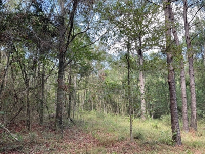 Home and Pasture Property For Sale Close to the State Line! - image 8