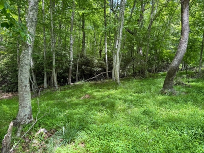 Large Acreage for Sale in Floyd VA - image 7