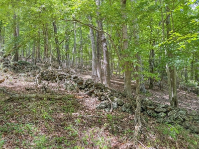 Large Acreage for Sale in Floyd VA - image 8