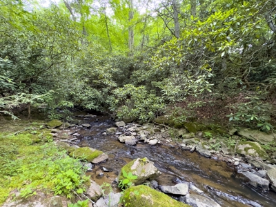 Large Acreage for Sale in Floyd VA - image 13