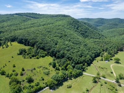 Large Acreage for Sale in Floyd VA - image 4