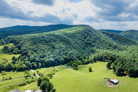 Large Acreage for Sale in Floyd VA - image 3