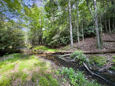 Large Acreage for Sale in Floyd VA - image 9