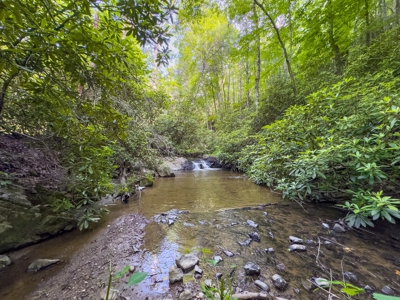 Large Acreage for Sale in Floyd VA - image 10