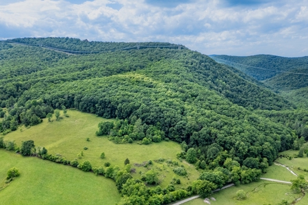 Large Acreage for Sale in Floyd VA - image 1