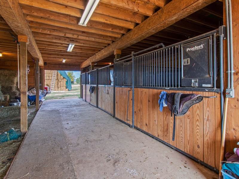 3 stalls and plus adjustable  stall