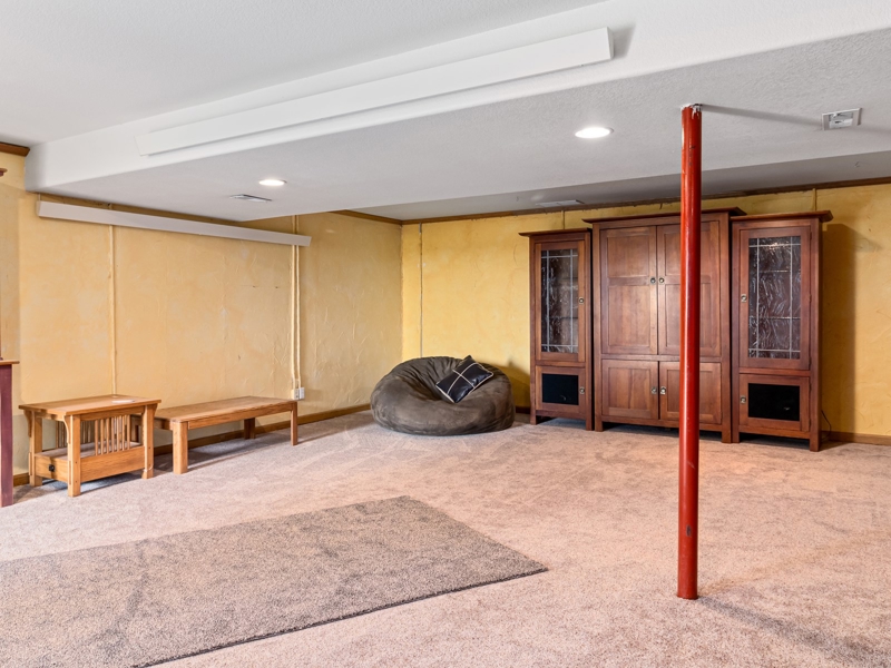 Walkout BAsement Family Room