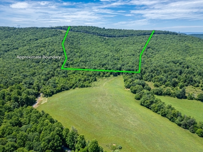 Wooded Land for Sale in Floyd VA - image 2