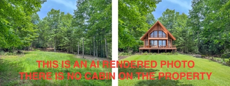 Wooded Land for Sale in Floyd VA - image 15
