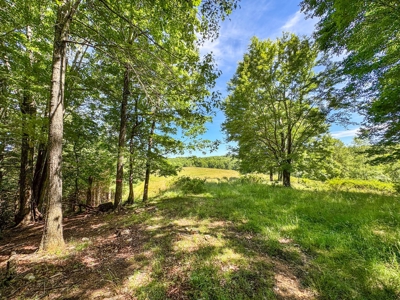 Wooded Land for Sale in Floyd VA - image 12