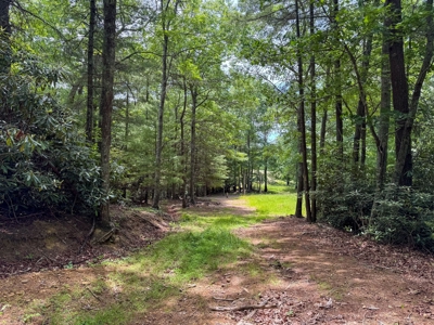 Wooded Land for Sale in Floyd VA - image 10