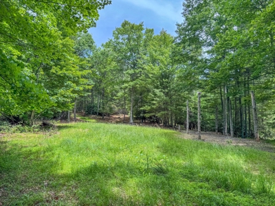 Wooded Land for Sale in Floyd VA - image 9