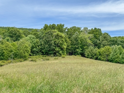 Wooded Land for Sale in Floyd VA - image 5