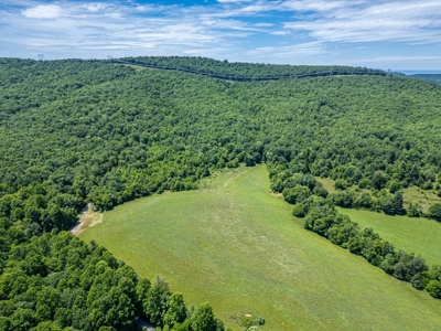 Wooded Land for Sale in Floyd VA - image 1