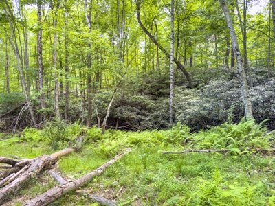 Wooded Land for Sale in Floyd VA - image 13