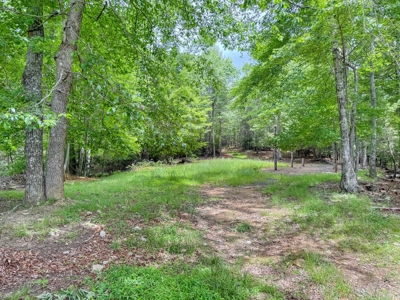 Wooded Land for Sale in Floyd VA - image 8