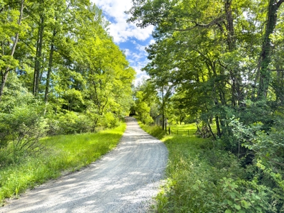 Secluded Land for Sale in Indian Valley VA - image 3