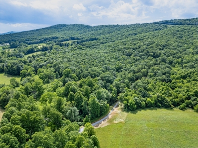 Secluded Land for Sale in Indian Valley VA - image 12