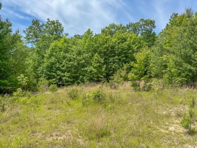 Secluded Land for Sale in Indian Valley VA - image 7