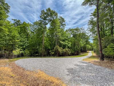 Secluded Land for Sale in Indian Valley VA - image 5