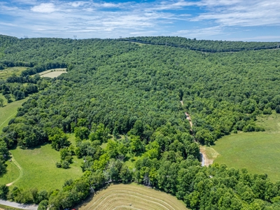 Secluded Land for Sale in Indian Valley VA - image 1