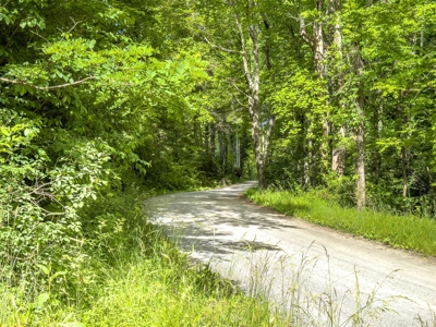 Secluded Land for Sale in Indian Valley VA - image 4