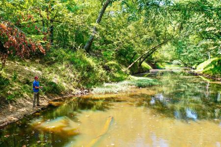 7.5 Acres On Buck Creek In Kiamichi Wilderness For Sale - image 3