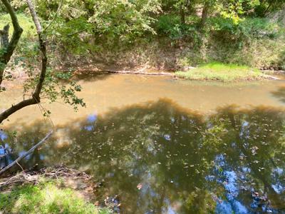 7.5 Acres On Buck Creek In Kiamichi Wilderness For Sale - image 18