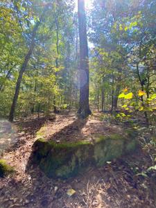 7.5 Acres On Buck Creek In Kiamichi Wilderness For Sale - image 45