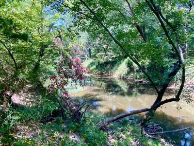 7.5 Acres On Buck Creek In Kiamichi Wilderness For Sale - image 14